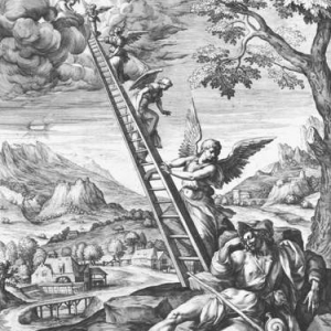 Rituale della Venere nera 8