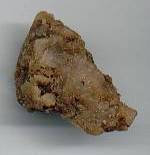 Assafetida (assafoetida)