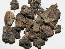 Copal nigro