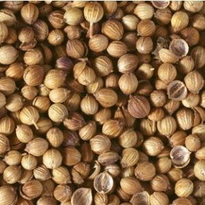 Coriandolo