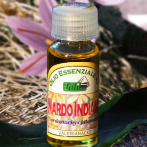 Nardo indiano