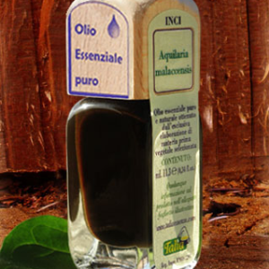 Agarwood
