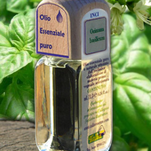 Basilico