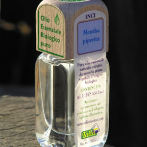 Menta piperita