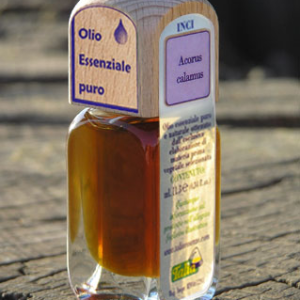 Calamo aromatico