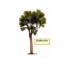 Quebracho