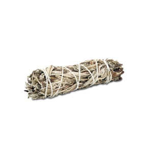 Smudge Salvia nera (salvia mellifera)