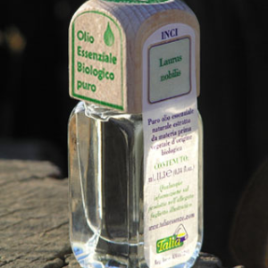 Lauro nobile (alloro)