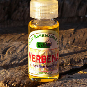 Verbena