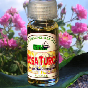 Rosa turca