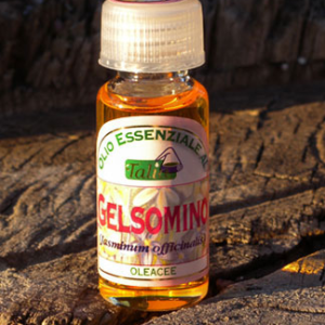 Gelsomino