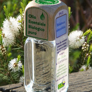 Tea Tree
