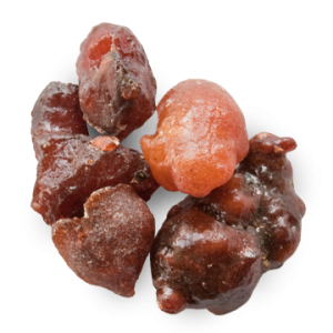 Omumgorwa (Cammiphora Tenuipetiolata)