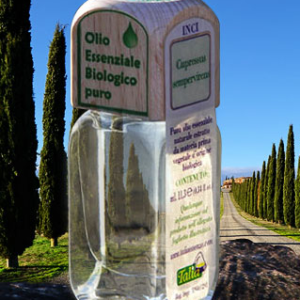 Cipresso