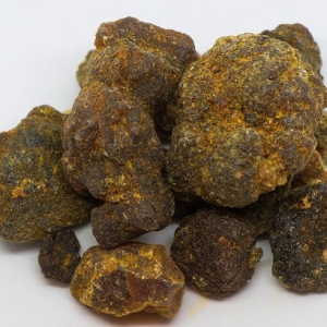 Hagar (Commiphora kataf)