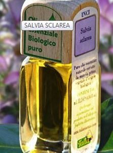 Olio Essenziale Salvia Sclarea