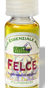Essenza alla Felce