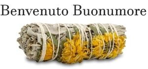 Smudge Salvia Bianca e fiori (benvenuto buonumore)