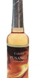 ACQUA DE PUSANGA  ml 221