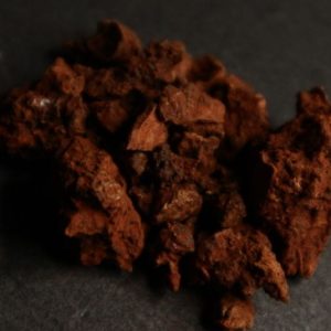 Sangue di Drago (calamo)